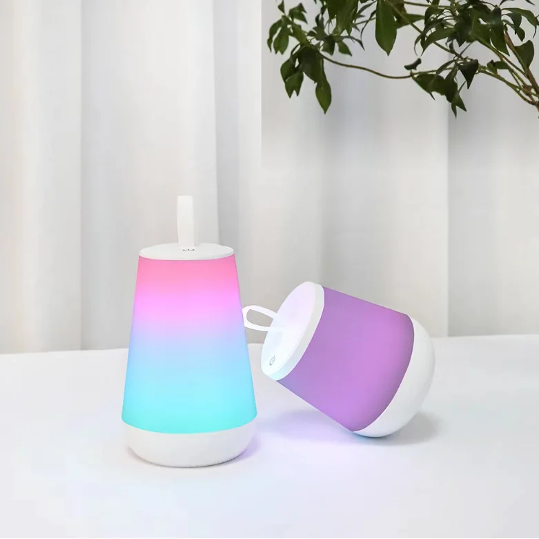 Touch&Rmt Ctrl Portable USB Rechargeable Dimming LED Dreaming Color Streaming Table Lamp For Desk Bedside Holiday Christmas Gift
