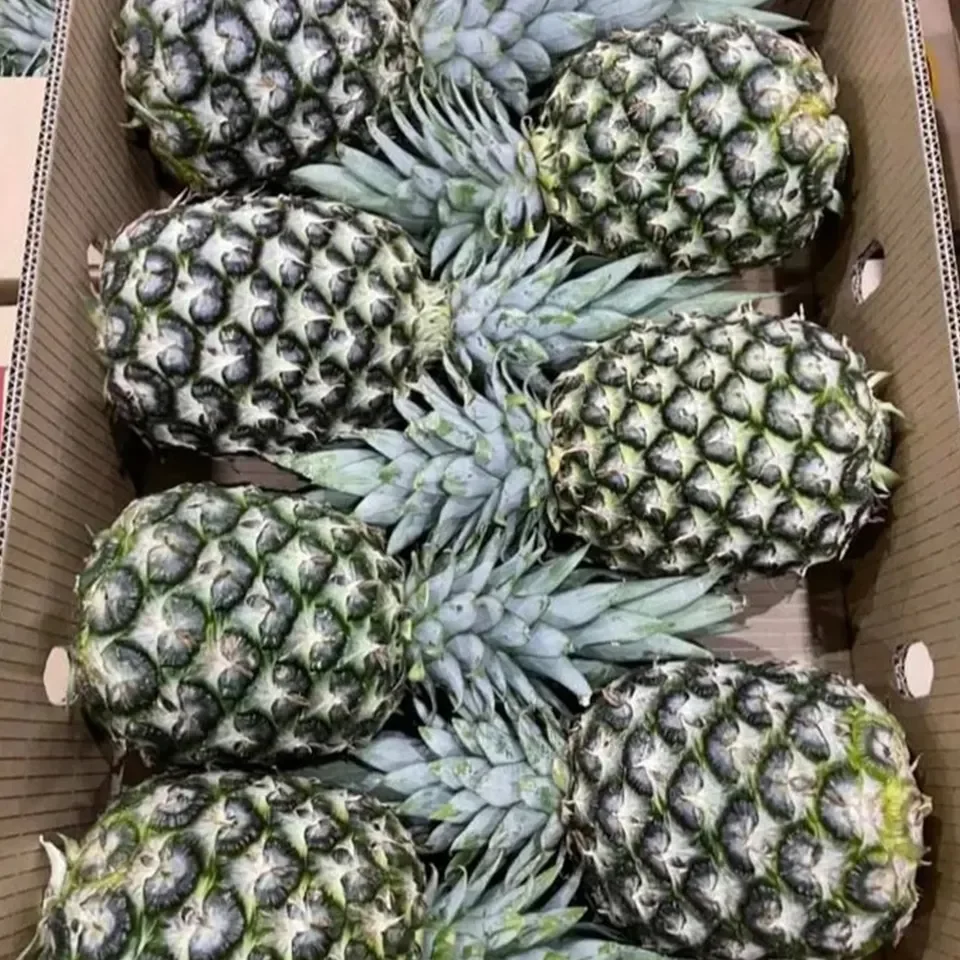 Export Quality Natural Fresh Sourness Beautiful Golden Color Super Sweet Fresh Pineapple