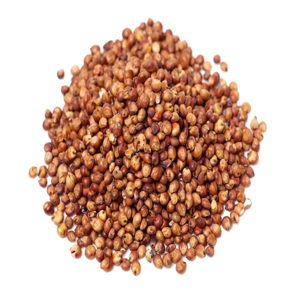 Best Quality Pure Whole Sorghum Grains For Sale At Cheapest Wholesale Price