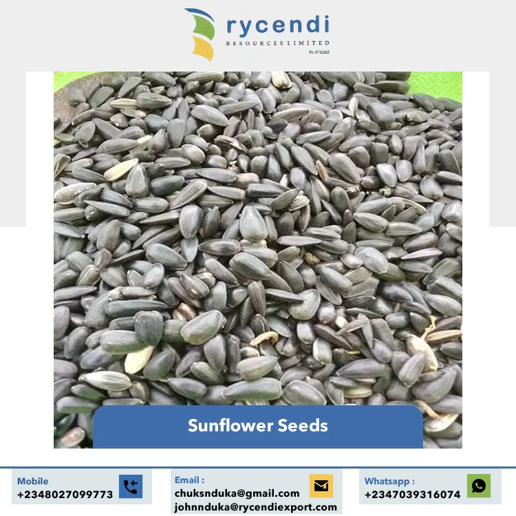 Premium Quality Nigeria Origin Agriculture Products Natural Pure Sunflower Seeds at Competitive Market Price
