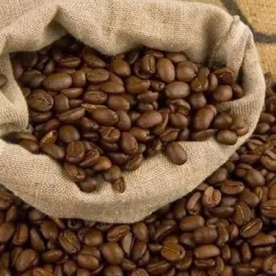 Organic Coffee High Quality Organic Coffee Whole Grain and Enriched Taste Best Flavored Brazil Raw Coffee Beans