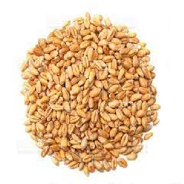 50kg bag Packing Wheat grains (11000004441682)