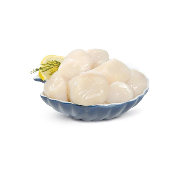 Outstanding Quality Dried Seafood Frozen Meat Scallop Shellfish in Bulk Packaging