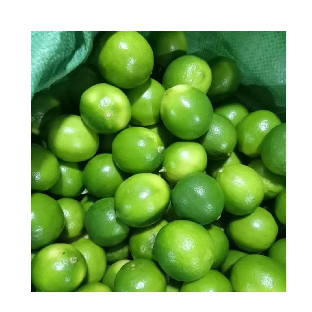 Fresh Green Citrus Fruit- Fresh Lemon In Vietnam From Farm Wholesale Fresh Lime