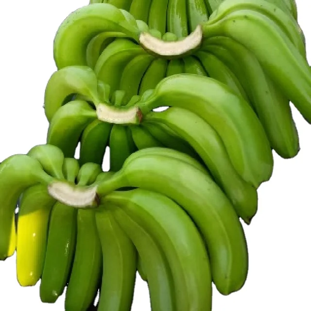 Top Grade Fresh Cavendish Banana