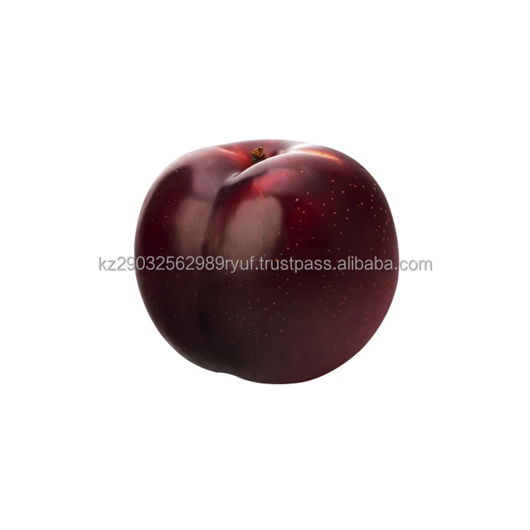 Very tasty plum excellent performance good frost resistance freshly picked wholesale low price