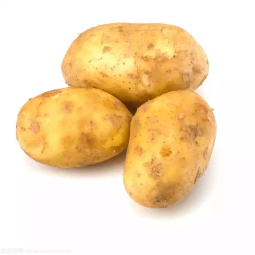 Most Popular vegetable fresh potato export potato wholesale price