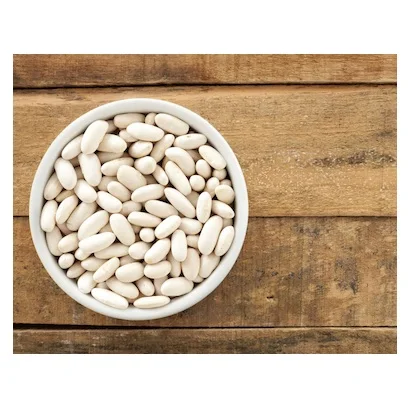 Wholesale Supplier Of Bulk Fresh Stock of Organic Dried White Kidney Beans