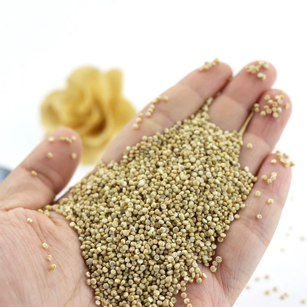 High Grade Quinoa Grains Organic Red Quinoa Seeds Wholesale