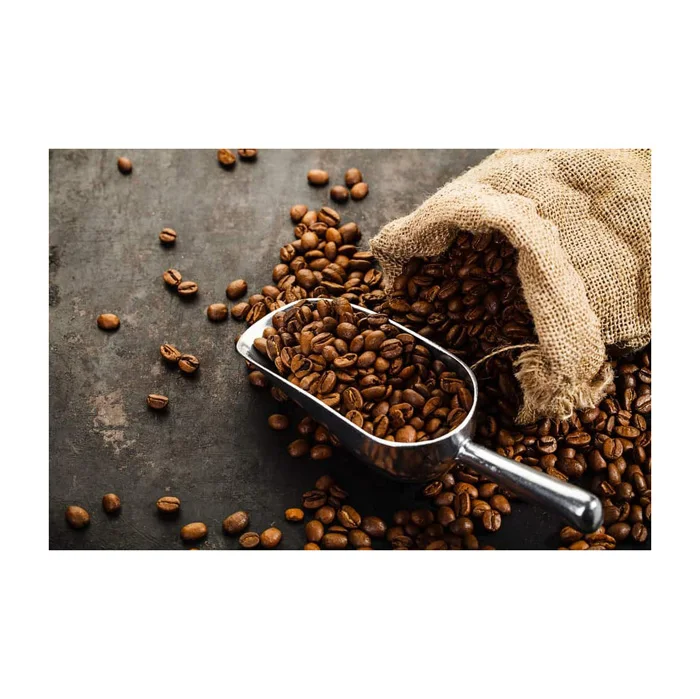 Organic Coffee High Quality Organic Coffee Whole Grain and Enriched Taste Best Flavored Raw Coffee Beans