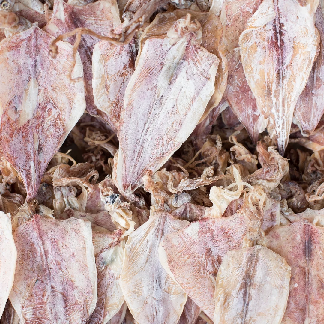 Dried Squid (50-60 pieces/kg) from Vietnam Sea Dried Squid With Cheapest Price Asia Cuttlefish