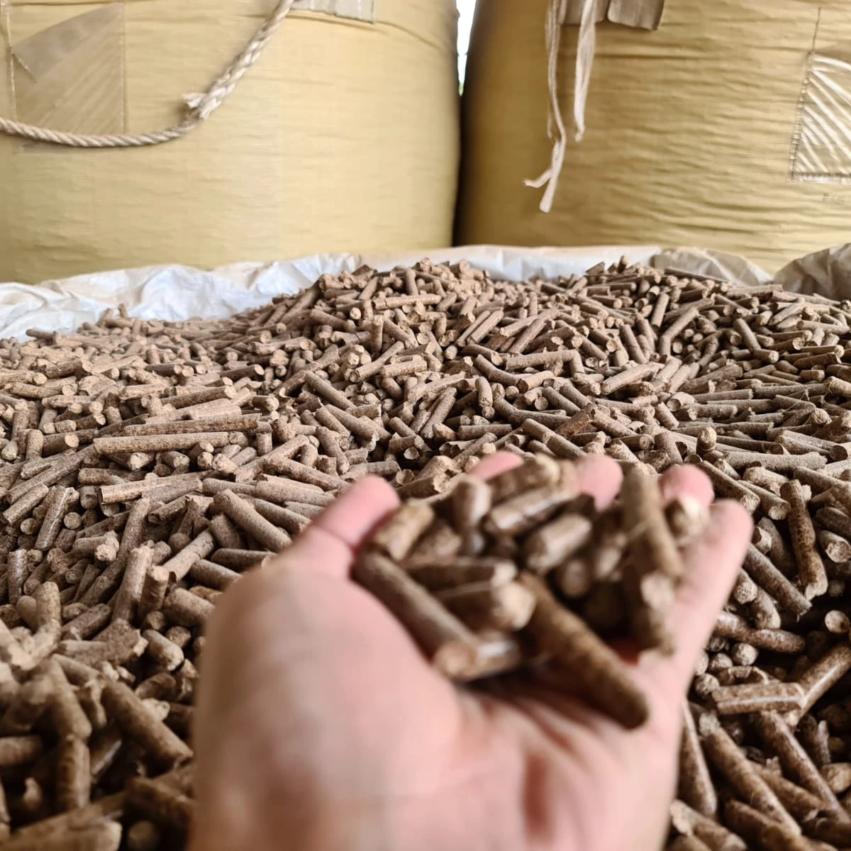 SumaEcoHarvest SustainaPellet: Premium Indonesian Wood Pellets for Green Energy Solutions and Eco-Friendly Heating Brilliance.