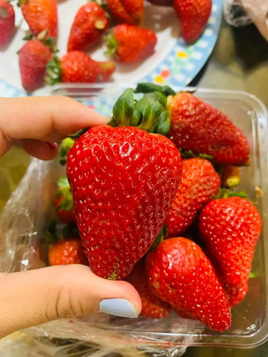 Food Grade Fresh Fruit Product Strawberry with Reasonable Price in VietNam