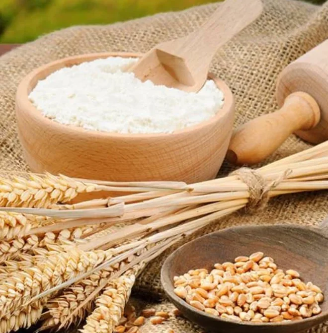 USA Export White Flour for all purpose wheat flour in 25kg 50kg bags best price