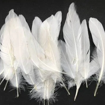 Multicolor Silver Ostrich Feather Handicraft with Dyed Pattern for Home & Wedding Party Decor Washed Pattern