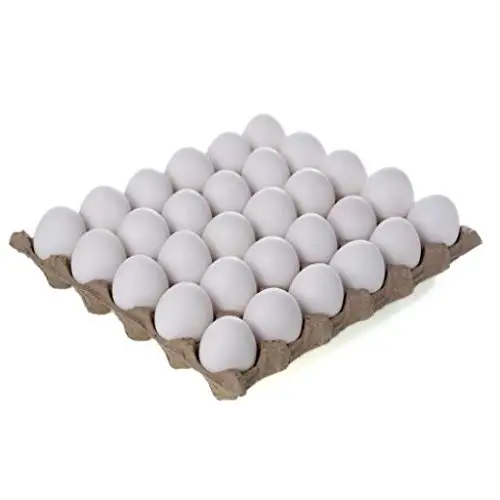 Cheap price Eggs & Fertilized Hatching Eggs, White and Brown eggs