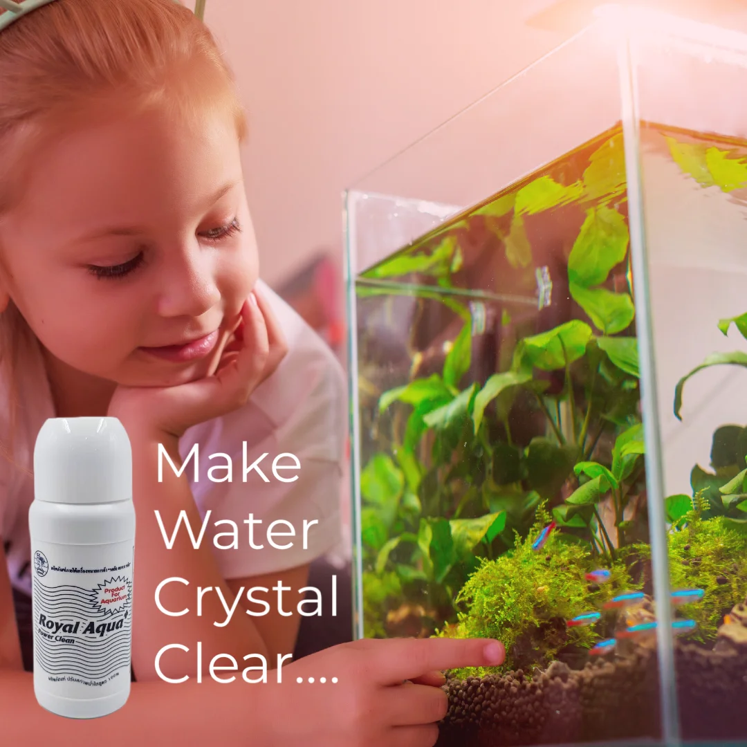 1 дюжина 500 мл. Royal Aqua + Power Очищающий продукт для аквариума