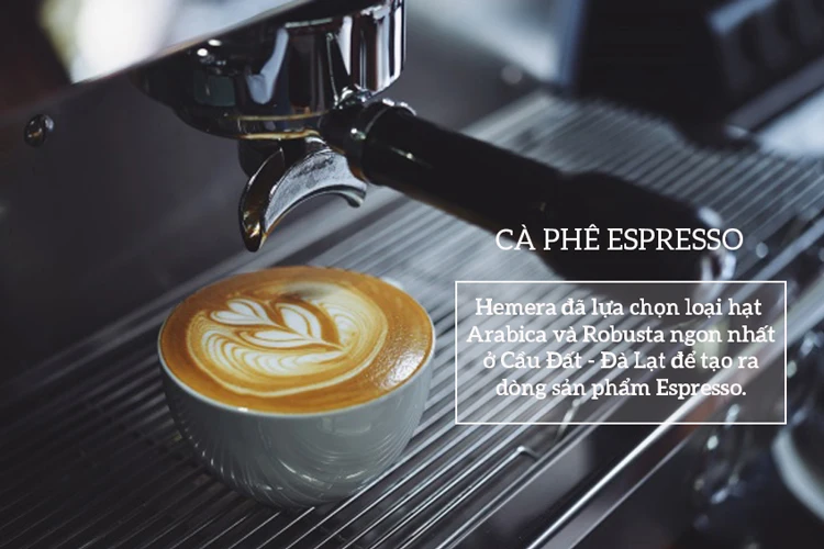 OEM Roasted Arabica Coffee Beans From Cau Dat Arabica Coffee In Vietnam