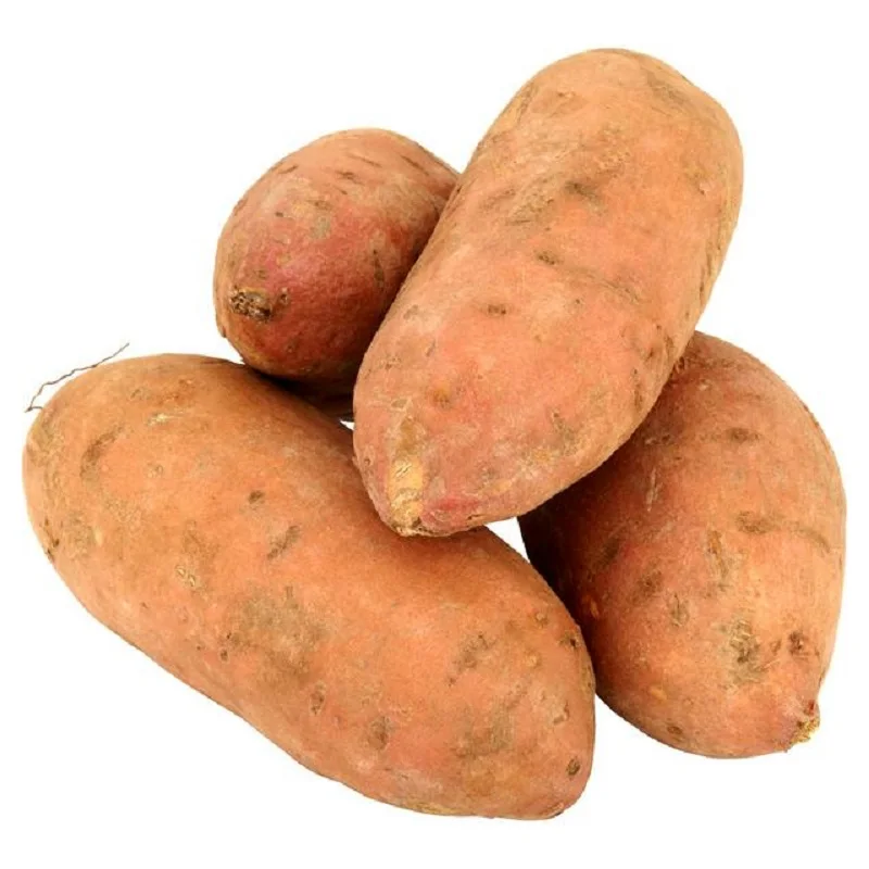Ready for export Wholesale Sweet fresh potato