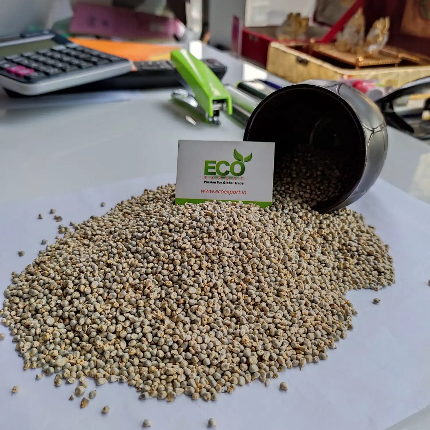 Indian Green Millet for Animal Feed