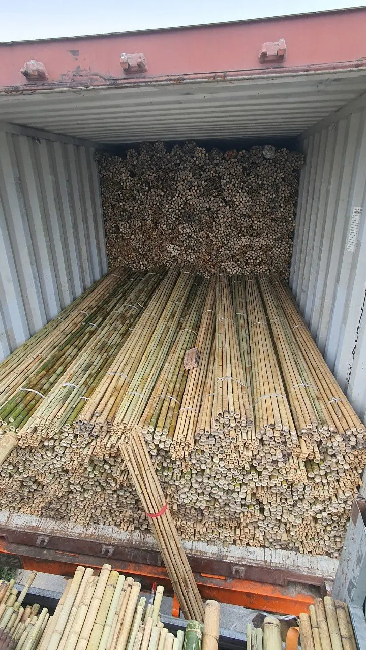 High Quality 100% Natural Rolled Bamboo Screen Fencing Garden Buildings From Vietnam Ready To Export In Bulk