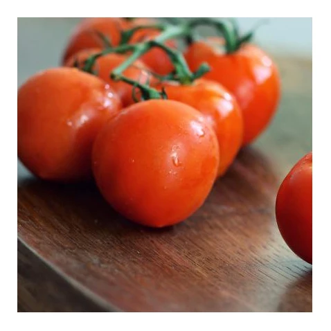 Top Quality Fresh Red Tomatoes for sale.