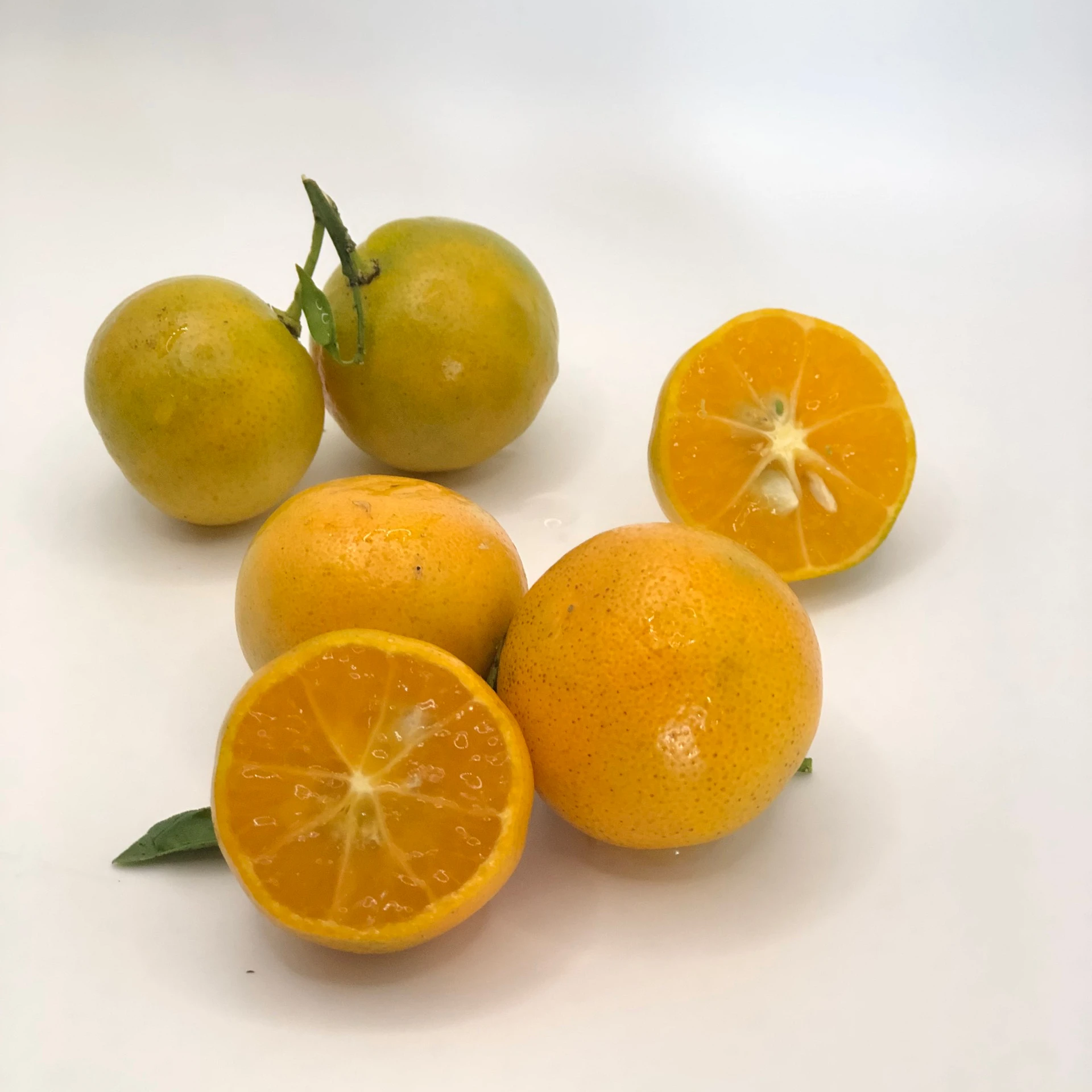 Оптовая продажа вьетнамские свежие фрукты Kumquat большое разнообразие эфирных масел от лучшего поставщика