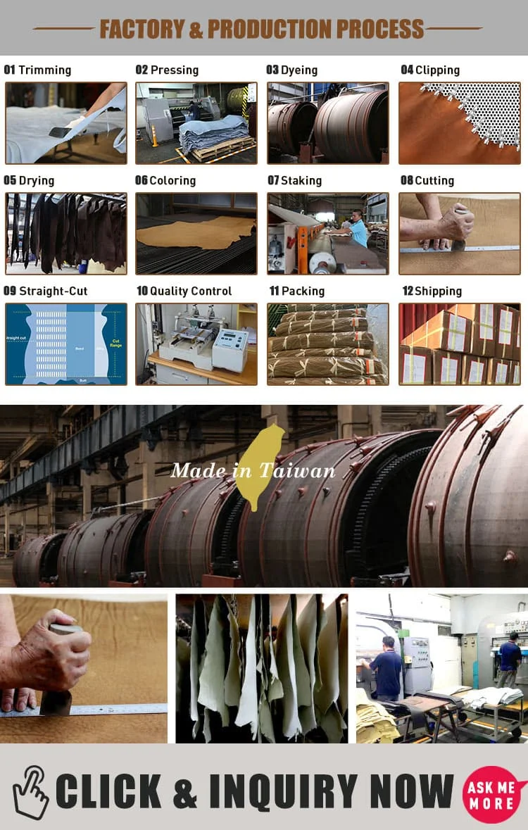 Dog Collar T16-1 N3L12