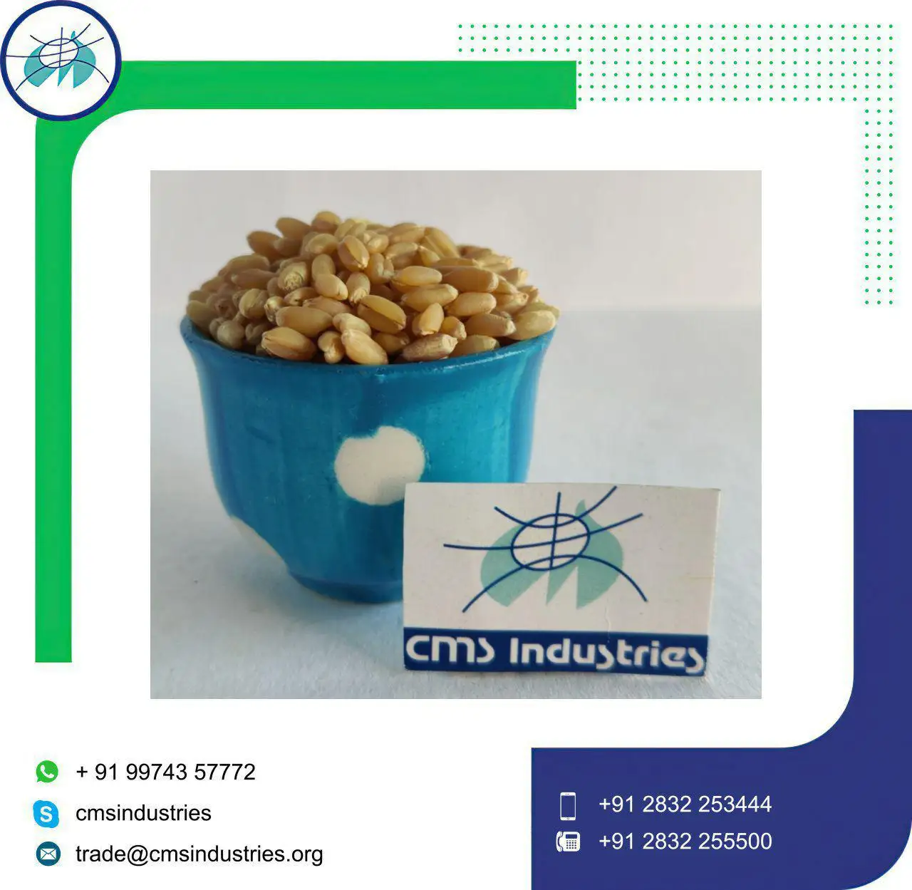 Good Supplier Lower Price Milling Wheat