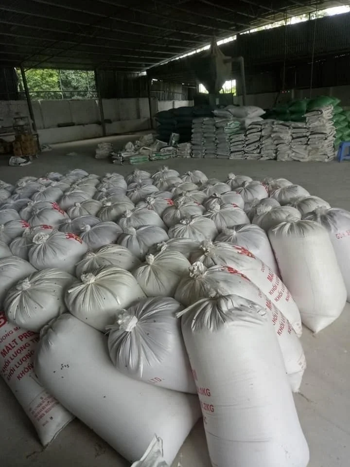 HIGH PROTEIN BEER MEAL RESIDUE/ DRIED BREWERS GRAINS - BREWERS YEAST POWDER FOR ANIMAL FEED - Jolie ( whatsapp +84902679738)