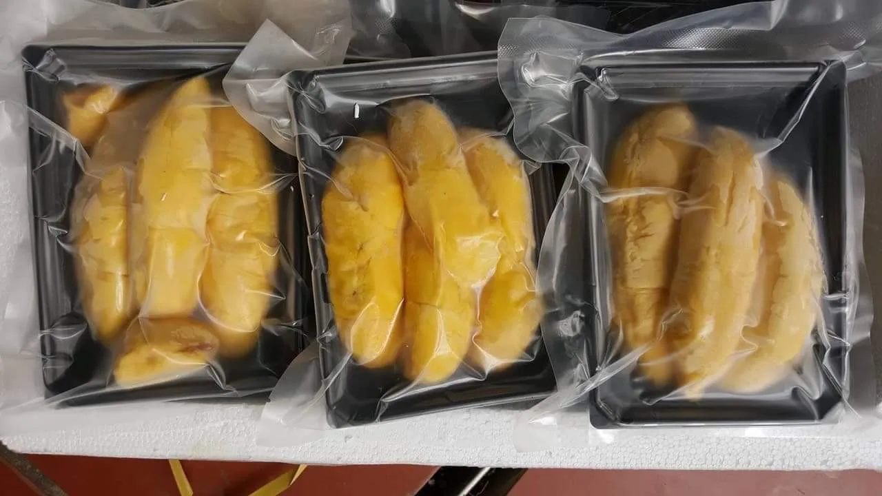 Ri6 Durian Frozen Paste And Whole Durian From Viet Nam