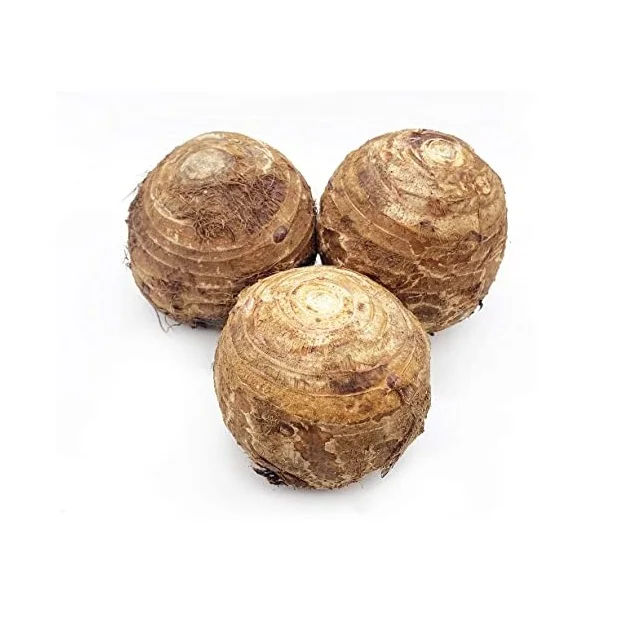 Cheap Price Bulk Sale Top Quality fresh taro new harvest fresh taro factory directly supply fresh taro wholesale