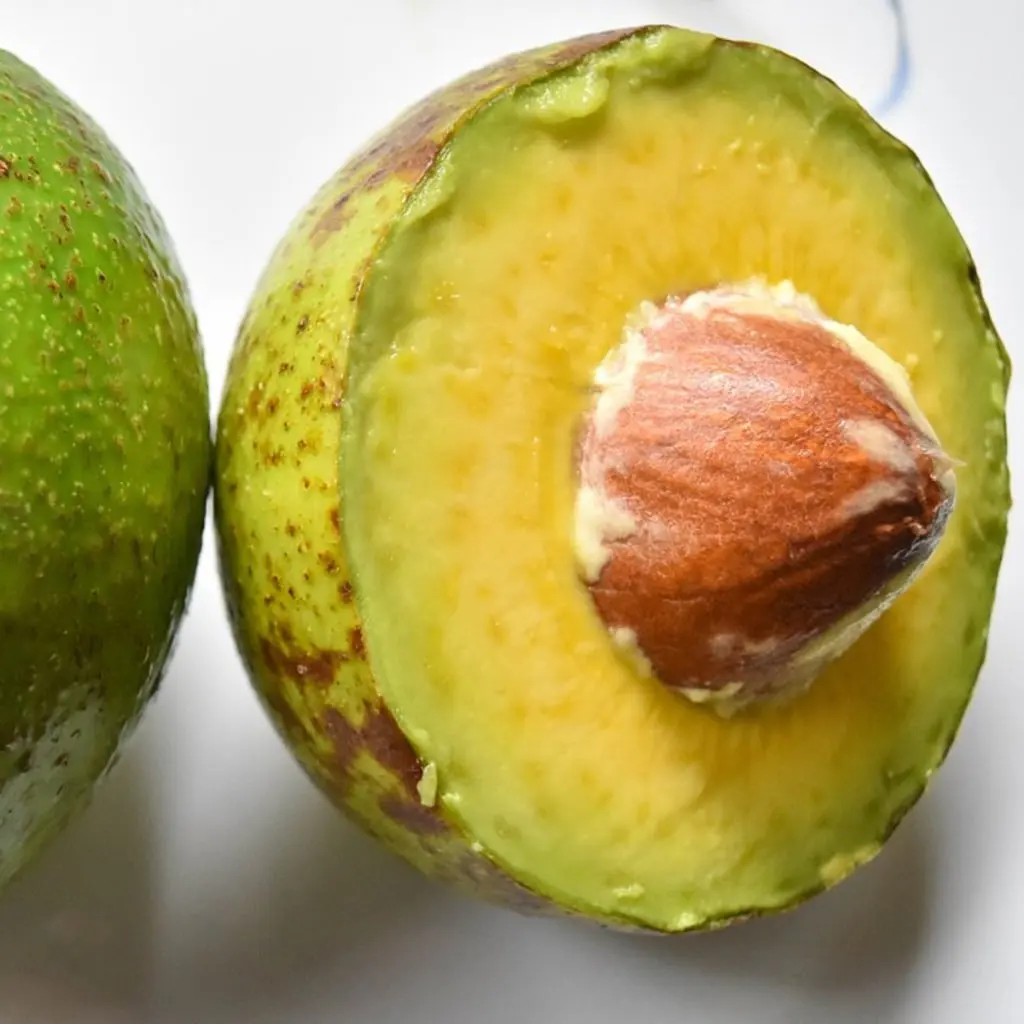 Fresh Avocados Sale Wholesale Supply Best Price Natural Organic Fruit Worldwide Export Fresh Avocados in Stock