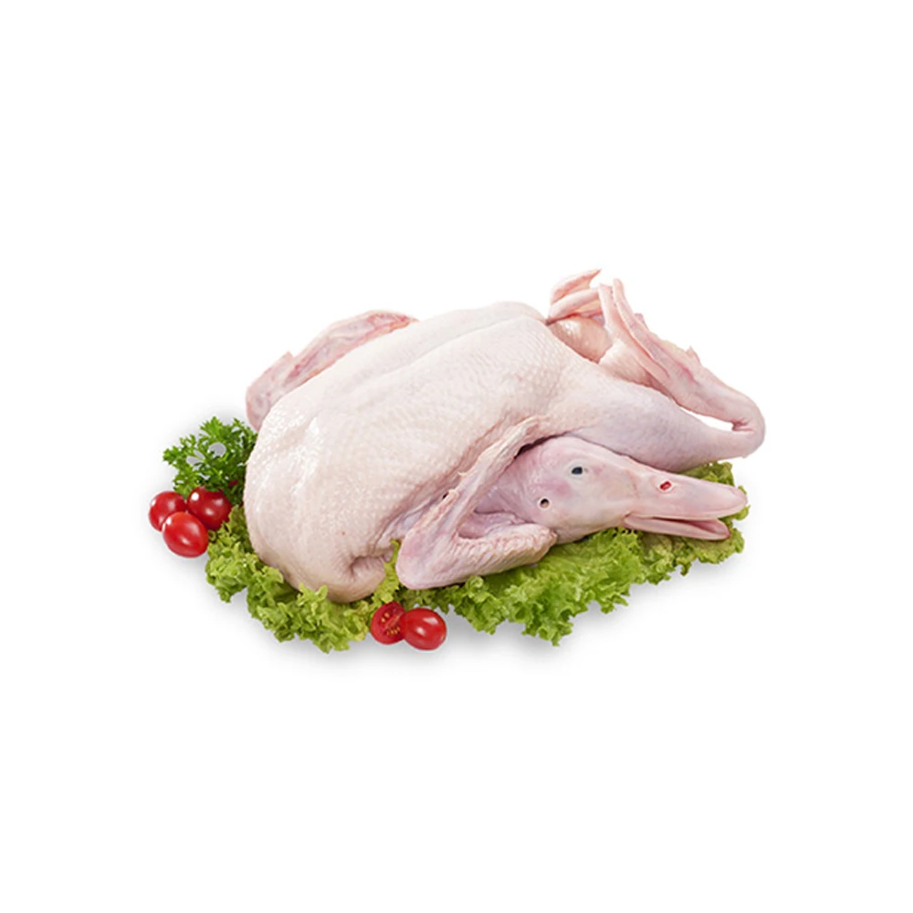 Factory Price Halal Frozen Whole Duck Without Offal From Poland