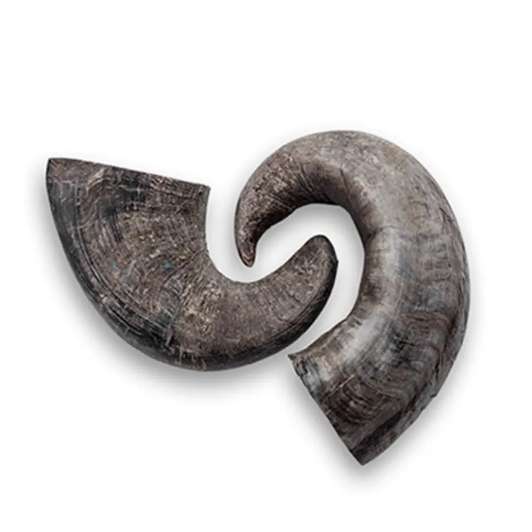 Hot Selling Pet Products Pet Food Dogs Food For Product Pricing Best Quality Customization Buffalo Horn Natural Horn