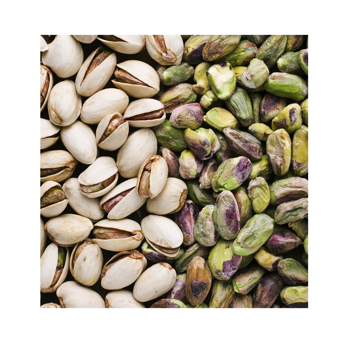 Selected Non-GMO high protein Pistachio high grade Product from Uzbekistan Pistachio nuts in shell for food