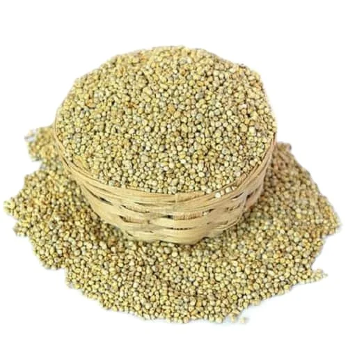 Green Millet Animal Feed Available for Export