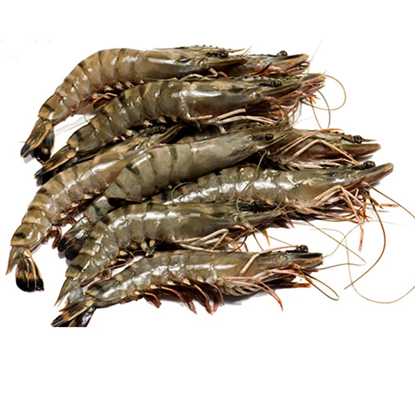 Высококачественные тигровые креветки Jumbo Prawn Black Tiger