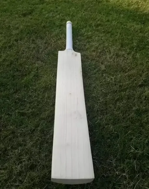 Factory Price Highest Selling Willow Cricket Bat for with Strong Grip for Adults at Affordable Price for Export