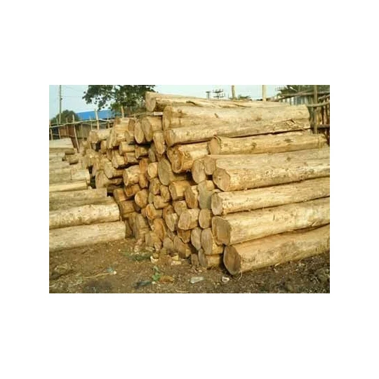 Top Selling Natural Eucalyptus Wood Logs Diverse Types Including Oak Pine Timber Teak Round Pattern Birch Beech Cherry