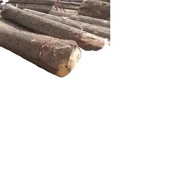 100% Pure Timber Logs Teak Wood / Oak Wood Logs / Pine Wood Logs Good Quality Best Selling