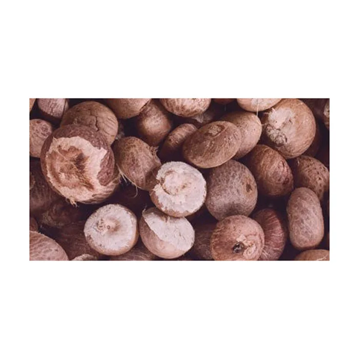 Betel Nut Dried Supari in Hot Sale With High Quality Newly Crop in Ready For Export