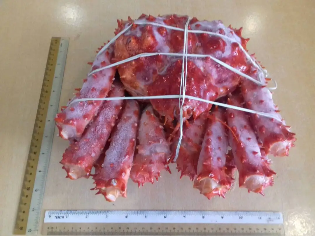 Wild Caught Frozen Alaskan King Crab Legs Boiled King Crab Legs in USA Style Time Packaging Weight Shelf Muscle Origin