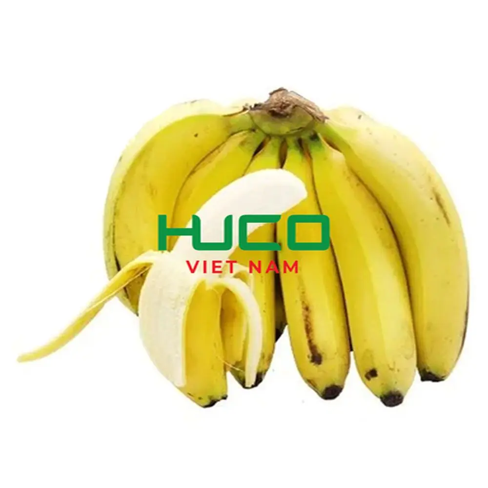 Vietnam Fresh Banana Organic Best Quality Competitive Price