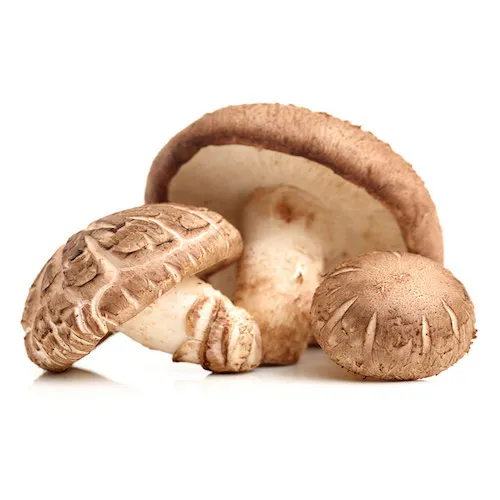 High Quality Natural Dried Shiitake Mushroom for Sale