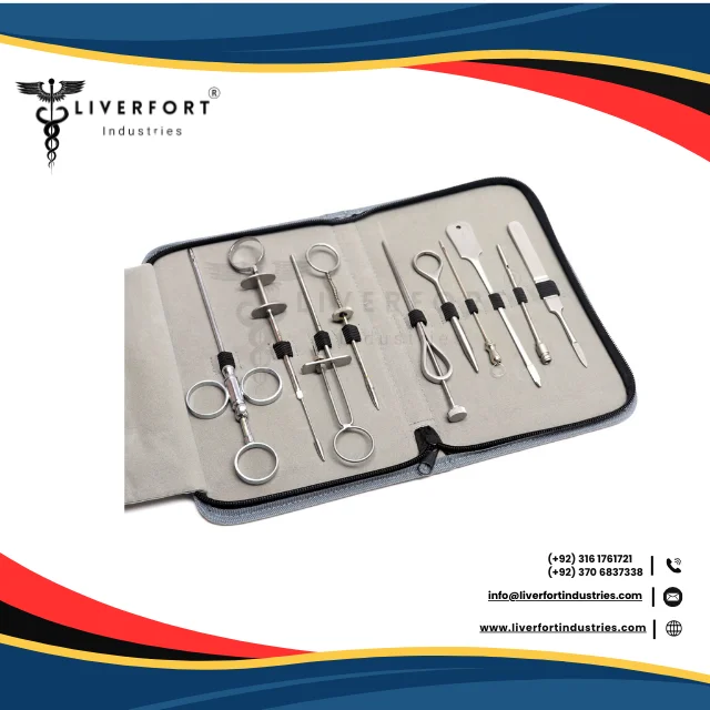 Premium Quality Teat Udder Cannula or Needles 10 Piece Set Stainless Steel with Zipper Case Professional Cattle Veterinary Tools