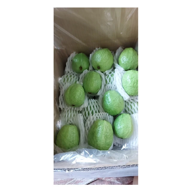 Свежие продукты из гуавы по самой низкой цене от Вьетнама