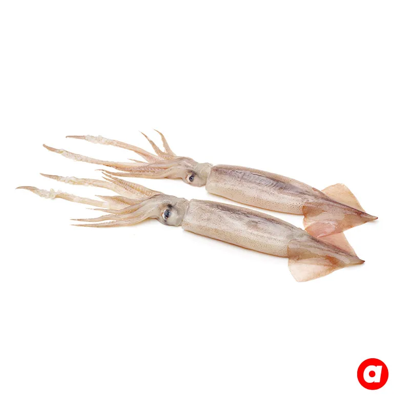 Competitive Price Wholesale Premium Grade 18 Months Shelf Life Frozen Fresh Squid Origin From Malaysia