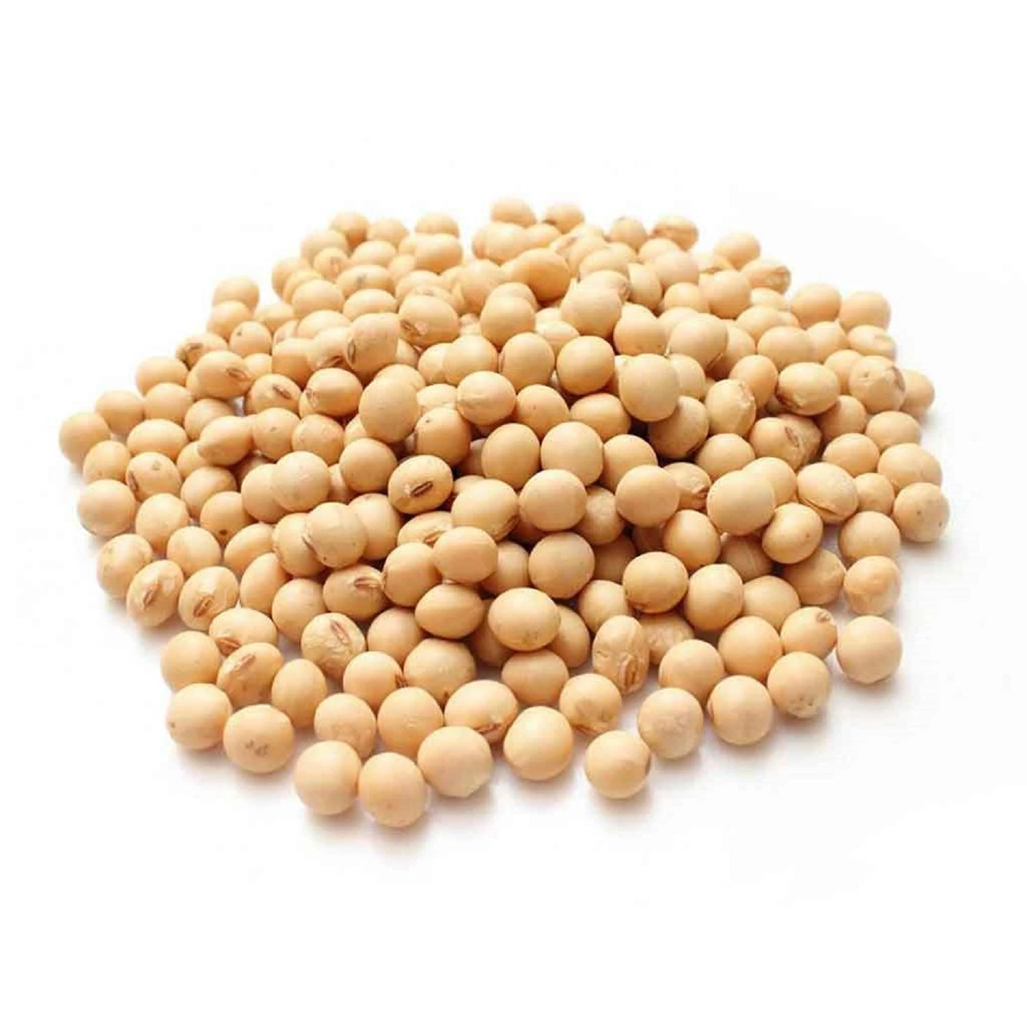 Wholesale Dried And Fresh Yellow Soya Beans