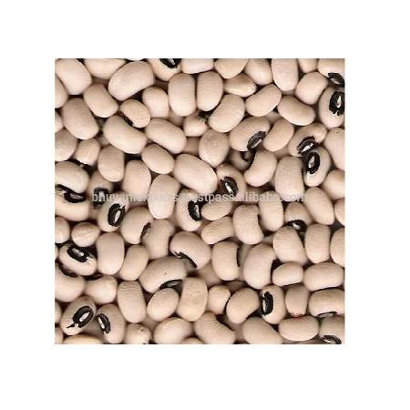 Factory Direct Sale Black Eyed Beans Grains Top Selling Black Eyed Beans Grains / White Kidney Supplier From India